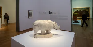5 bijzondere dieren in de Nederlandse musea Een beeldhouwwerk van de beroemdste neushoorn uit de historie. Foto: Rijksmuseum © Olivier Middendorp