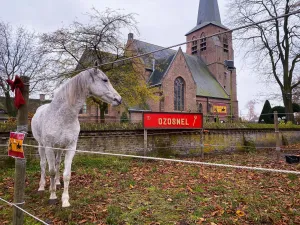 De Toren van Sinterklaas Hanneke Coolen-Colsters Foto geüpload door gebruiker.