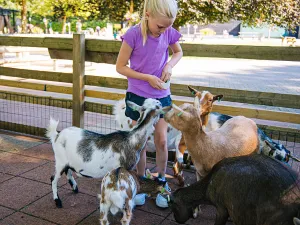 Speelboerderij Binky Voer zelf de dieren. Foto: Speelboerderij Binky