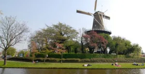 Cultureel genieten in Leiden Molen de Valk: baken op de Leidse stadswal.