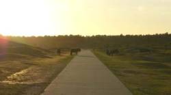 Wandelen door het Zeeuwse land