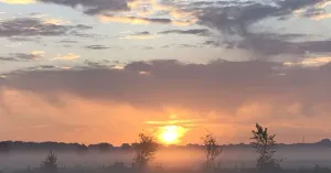 Vreemde vogels in De Onlanden | Broedvogelexcursie | Foto geüpload door gebruiker Natuurmonumenten. Vreemde vogels in De Onlanden | Broedvogelexcursie | Foto geüpload door gebruiker Natuurmonumenten.