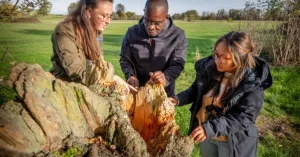Verken de Sint-Pietersberg met een Natuurgids Verken de Sint-Pietersberg met een Natuurgids | Foto geüpload door gebruiker Natuurmonumenten.