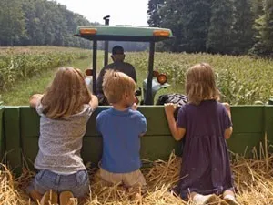 Help boer Johan op het land