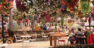 Over de foto: Plof neer op het gezellige terras in de Zwevende Bloementuin! Plof neer op het gezellige terras in de Zwevende Bloementuin!