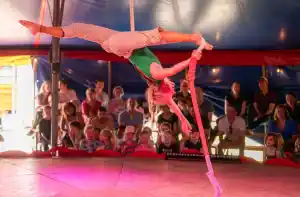 Circus Snor Zomertour - Elephant Terrible Foto geüpload door gebruiker Waterlinie Evenement