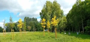 ‘De Betoverende Tuin 2025_ periode van het licht Foto: Ignace Clarysse
