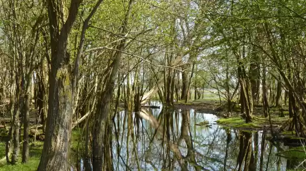 Ontdek de Haringvreter in het Veerse Meer haringvreter | Foto geüpload door gebruiker Staatsbosbeheer.