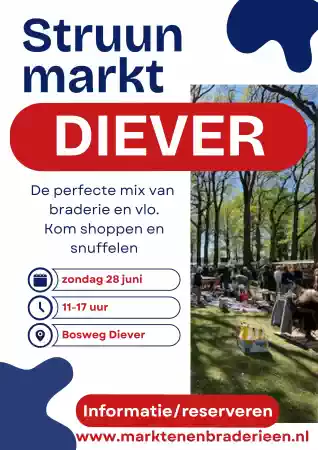STRUUNMARKT DIEVER | braderie & vlo foto: Visser MDO