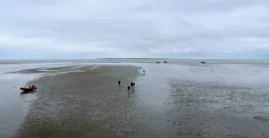 Zeehonden spotten en zandplaten trotseren op Schier Alleen maar zand en zee, zover het oog reikt. Foto: DagjeWeg.NL.