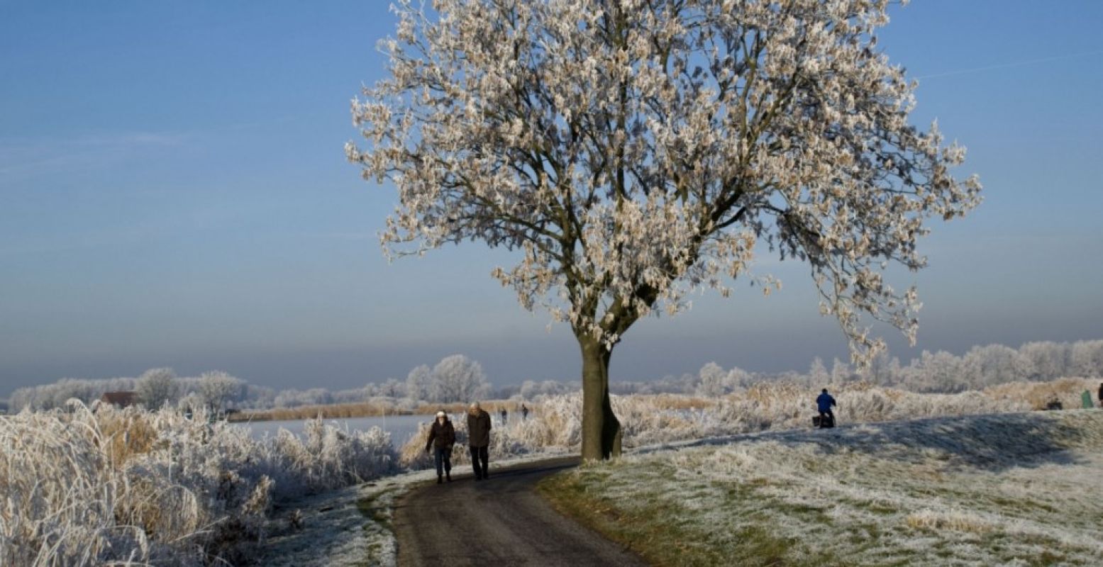 Geniet van de stilte in januari. Foto: © Staatsbosbeheer