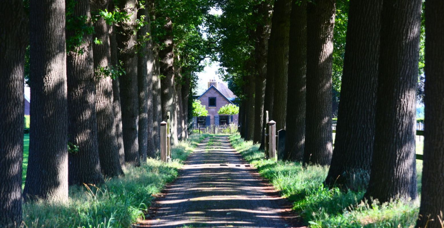 Er is zoveel te bewonderen in Soest! Foto: DagjeWeg.NL, Coby Boschma.