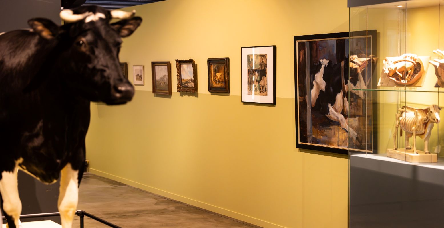 Al 100 jaar vertelt het Fries Landbouwmuseum je alles over de agrarische historie van Friesland. Foto: Fries Landbouwmuseum © Gerbrich Raap Fotografie Al 100 jaar vertelt het Fries Landbouwmuseum je alles over de agrarische historie van Friesland. Foto: Fries Landbouwmuseum © Gerbrich Raap Fotografie