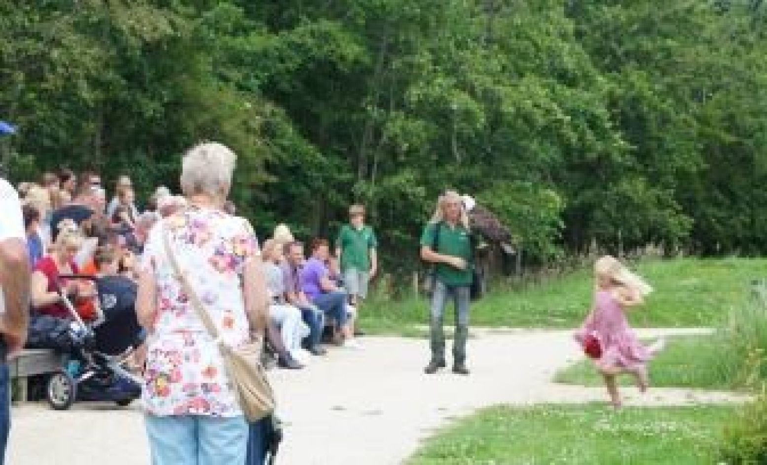 Valkenier Karel zit midden in zijn roofvogelshow.