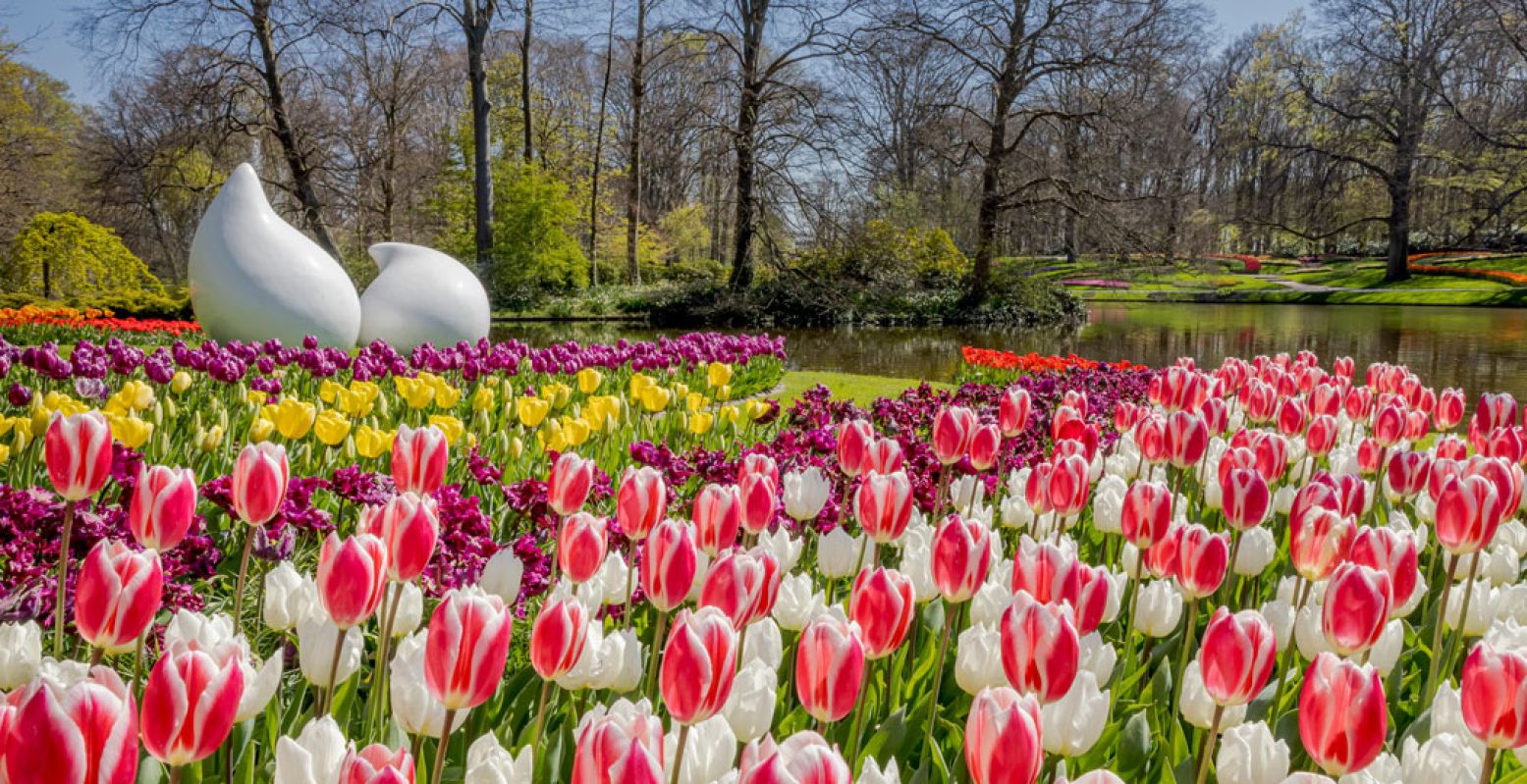 De Keukenhof is een waar paradijs voor bloemen- én kunstliefhebbers. Foto: De Keukenhof