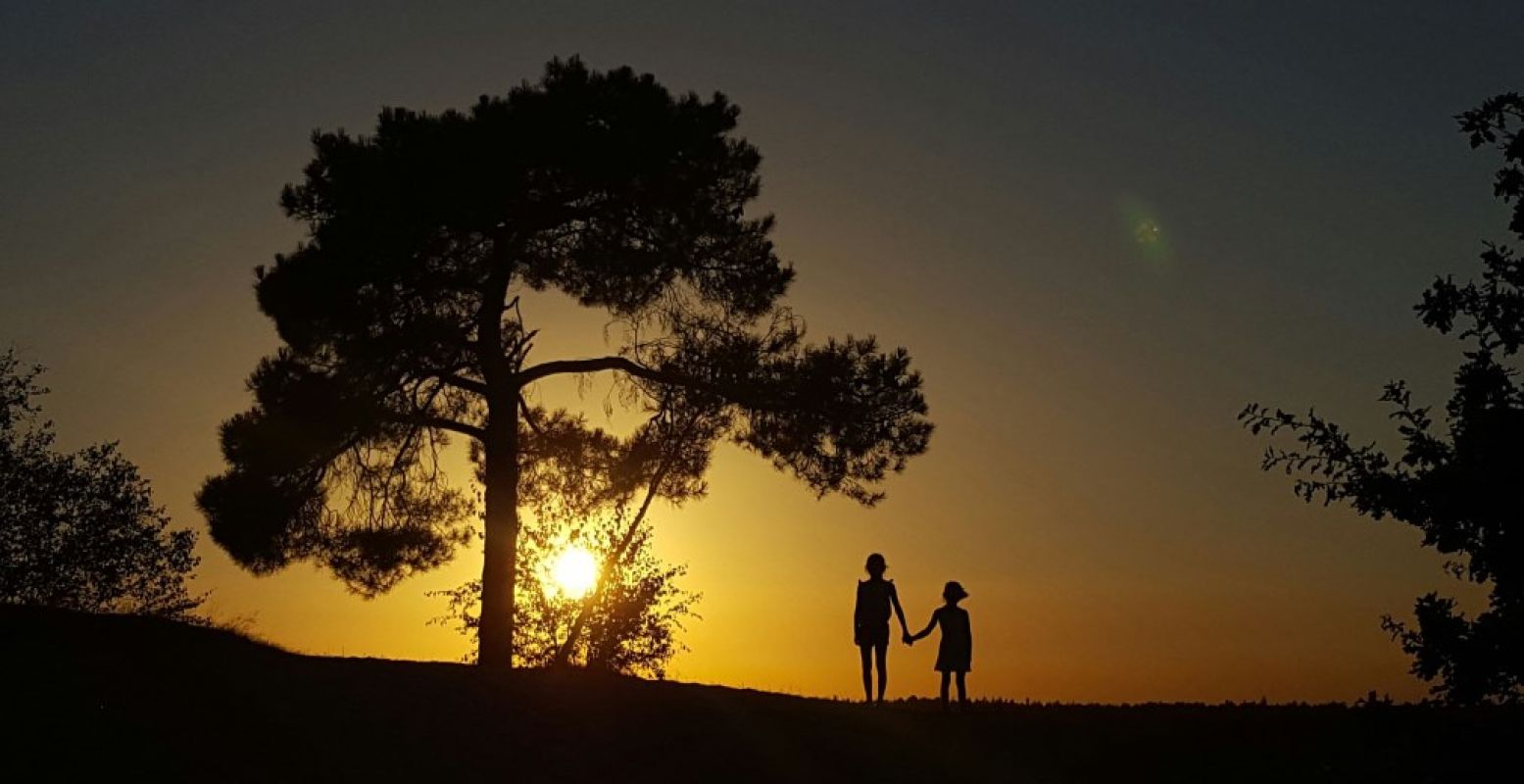 De Midzomernachtloop is tijdens de kortste nacht. Foto: Natuurmonumenten © Martine Versluis