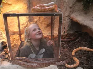 Ga mee op expeditie door dierenpark Almere Jungle