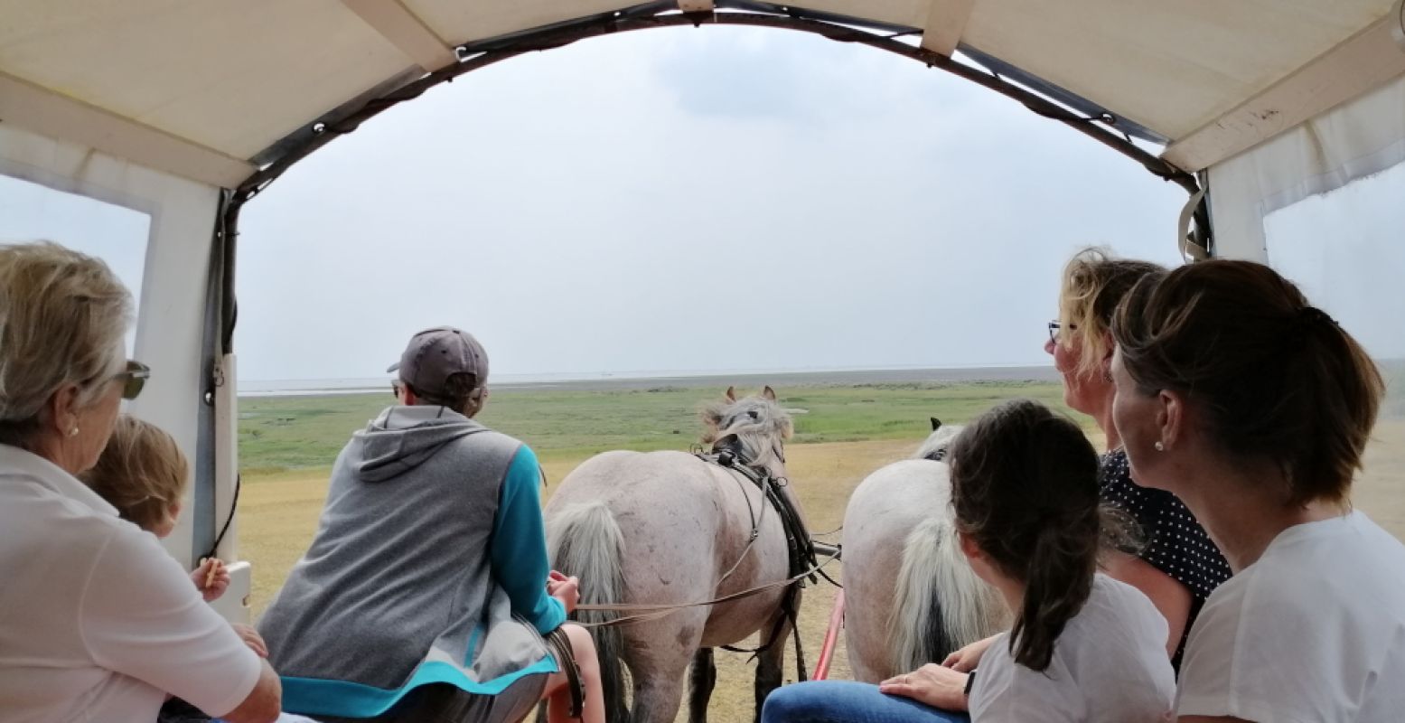 Verken Schiermonnikoog per huifkar. Met een huifkartocht inclusief gids leer en zie je alles van het eiland. Foto: DagjeWeg.NL.