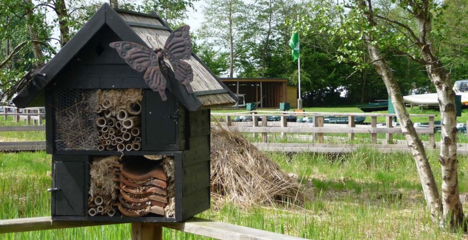 Wat voor beestjes wonen er in het insectenhotel? Foto: Redactie DagjeWeg.NL, Grytsje Anna Pietersma