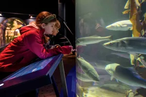 Herfstvakantie: haaien en roggen voeren Foto geüpload door gebruiker Stichting Liniebreed Ondernemen.