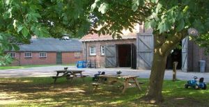 Excursie op de boerderij