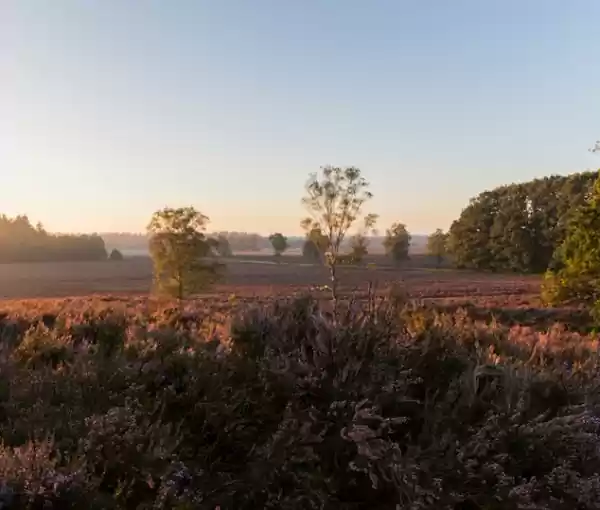 Cultuurhistorische wandeling Foto ge&uuml;pload door gebruiker Geldersch Landschap en Kasteelen