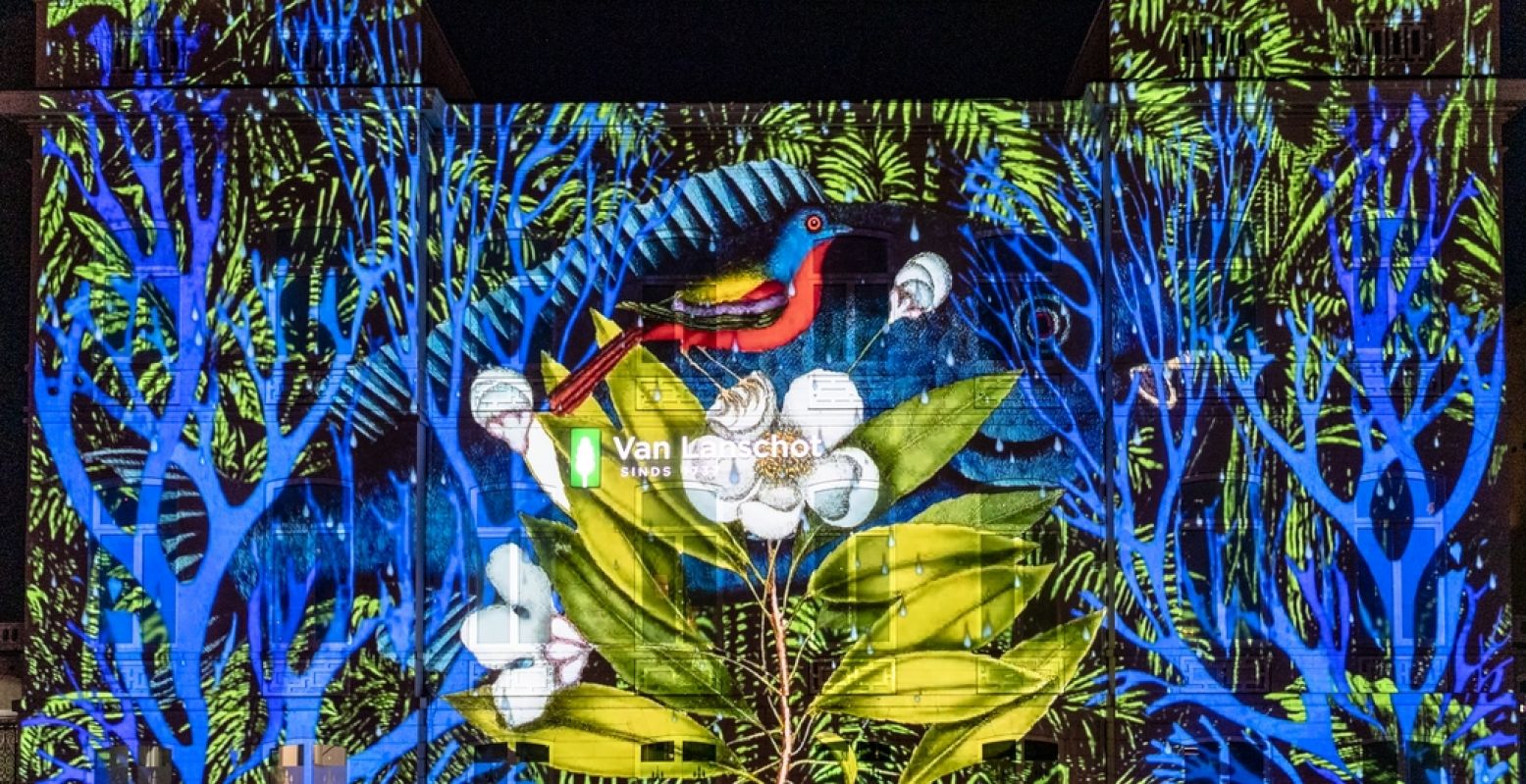 Bloemen bloeien op en vogels en vissen komen langs in de lichtshow op de kantoorvilla van Van Lanschot aan de Westersingel. Foto: Rotterdam Verlicht! Mothership © Jan Kok