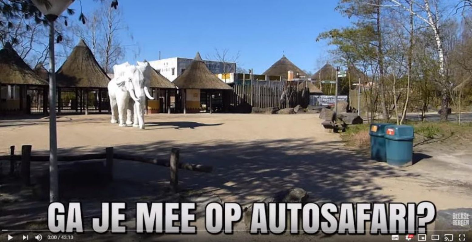 Ga mee op safari in Beekse Bergen. Foto: screenshot YouTube.