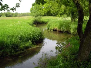 Nationaal beek- en esdorpenlandschap Drentsche Aa