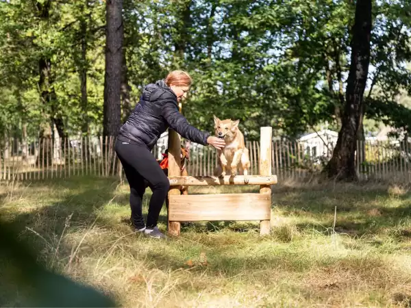 Foto: TopParken Recreatiepark Beekbergen