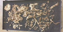 Bijzonder: prehistorisch familiegraf te zien in Leiden