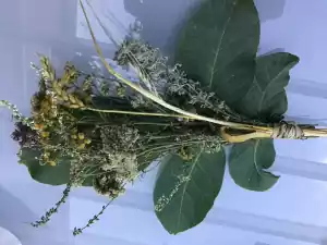 Wandeling: Pluk je eigen Kroetwusj Foto: Groen Hart Leudal
