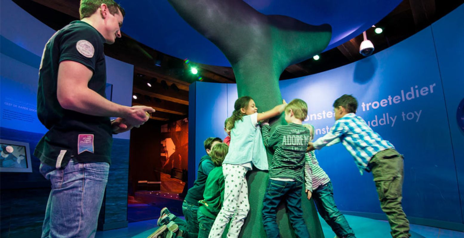 Ontdek het verhaal van de walvis. Foto: Het Scheepvaartmuseum