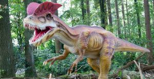 Ontmoet dino's in Burgers' Zoo!