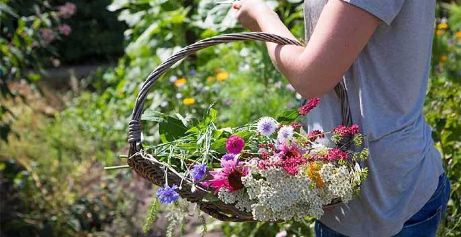 Pluk zelf het mooiste zomerboeket bij elkaar. Foto: De Sfeerstal