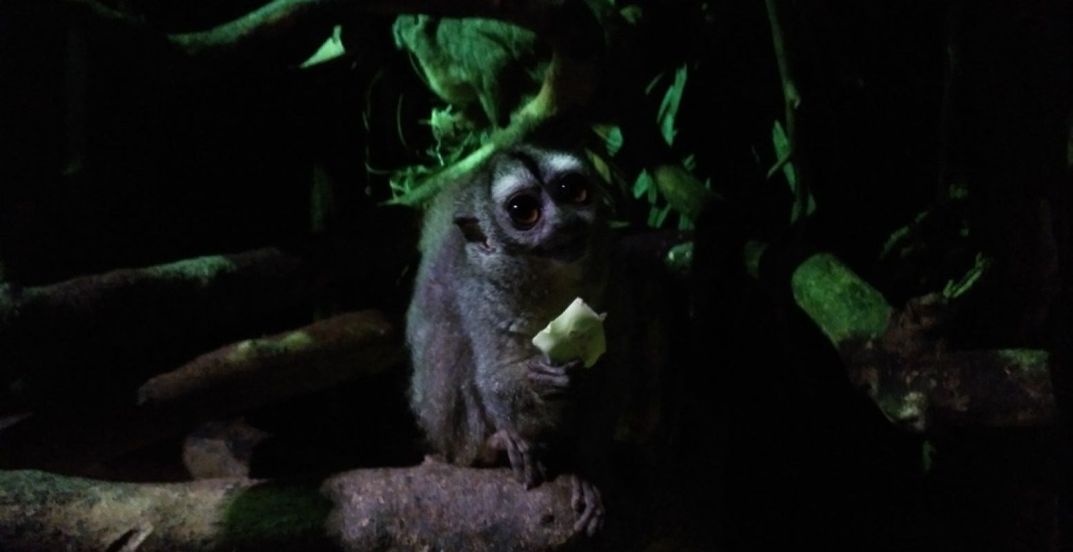 De doeroecoeli in het nachtverblijf zat net te smullen van een meloen. Foto: DagjeWeg.NL.