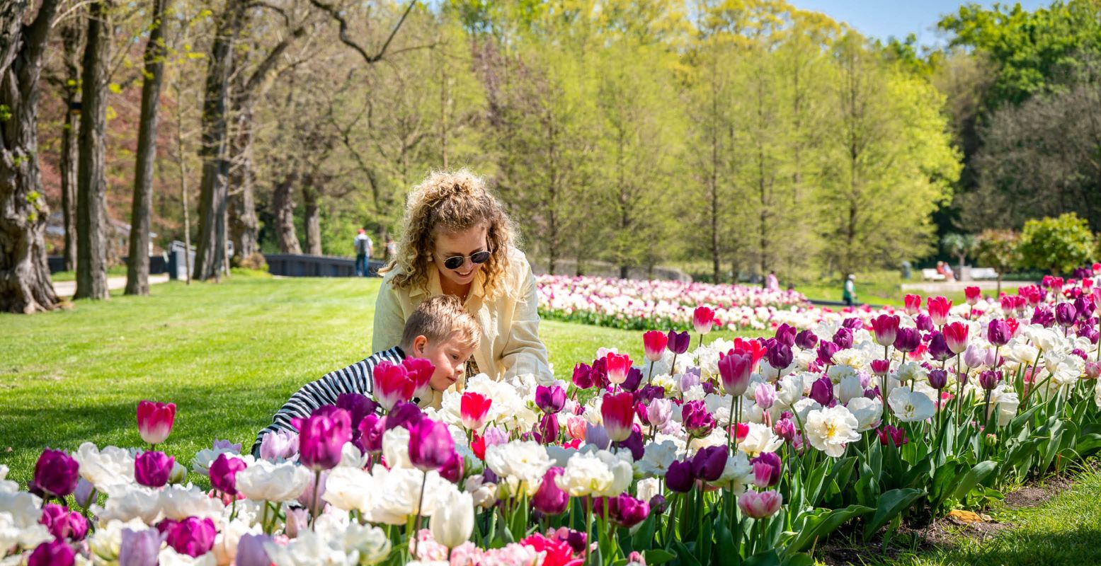 Geniet van duizenden kleurrijke tulpen bij Kasteeltuinen Arcen. Foto: Kasteeltuinen Arcen © Petra Lenssen