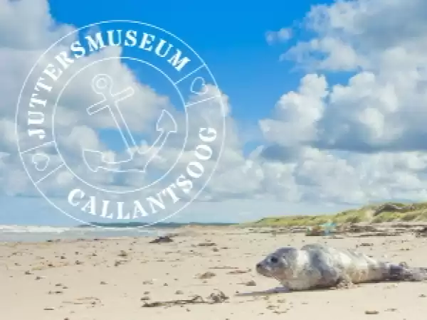 Foto: Juttersmuseum Callantsoog.