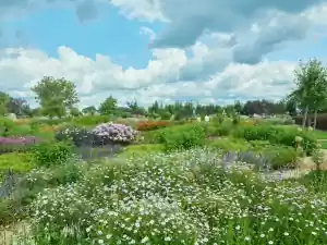 Een heerlijk dagje uit tussen de bloemen. Foto: Bloemenpark Appeltern © Fred Roest