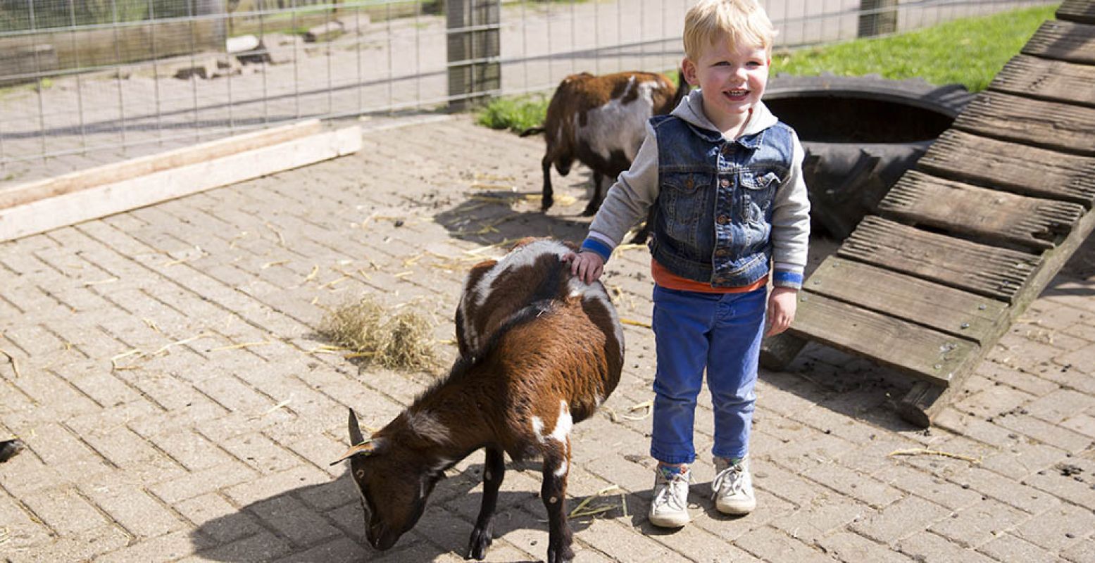 Spelen en knuffelen met de dieren op de kinderboerderij bij speelboerderij De Flierefluiter. Foto: De Flierefluiter.