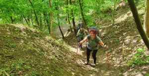 Trek er samen op uit over de mooiste wandelingen van 2022 Voor wandelaars die wel van een uitdaging houden: de Dutch Mountain Trail. Foto: Fiets en Wandelbeurs © Dutch Mountain Film Festival