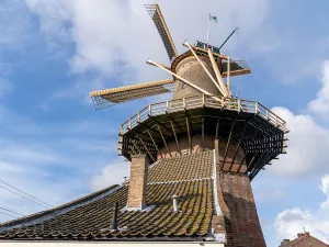 Delftse molen De Roos Delftse Molen de Roos. Foto: Delft.com Â© Michael Kooren