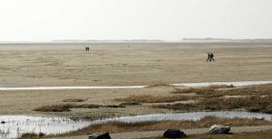 Toverachtig Terschelling