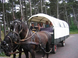 Mee met de huifkar. Foto: Ameland Actief