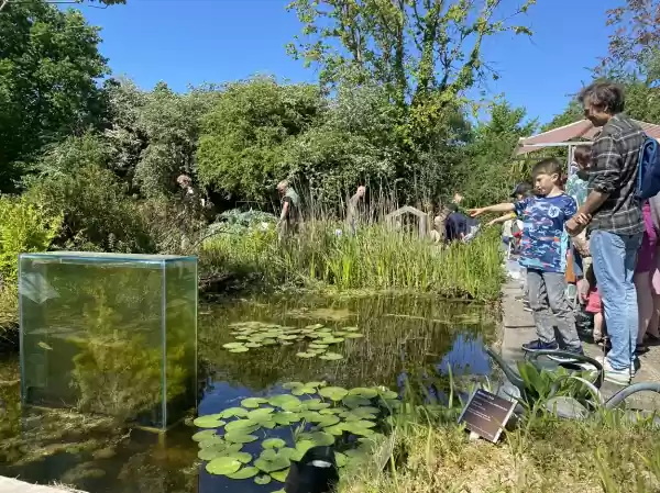 (Water)beestjes in Hortus Alkmaar Fotobeschrijving: Beestjesdag. Foto: Hortus Alkmaar (c).