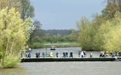 Wandelen door de bloesem
