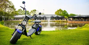 Toer door Nederland op een E-chopper! Huur een stoere E-chopper bij het sfeervolle Hotel Maashof in Venlo en ontdek het Limburgse land. Foto: Maashof