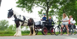 Hoera, de Noord-Friese Winkeltjesroute bestaat 5 jaar! Praat onderweg bij met Friesen die je tegenkomt. Foto: Friesland Holland