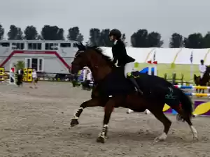 Foto: © Joke Schipper