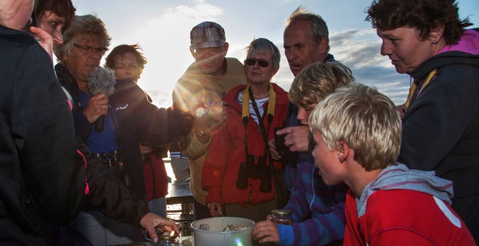 Wat leeft er in de Oosterschelde? Vaar mee! Foto: MS Onrust